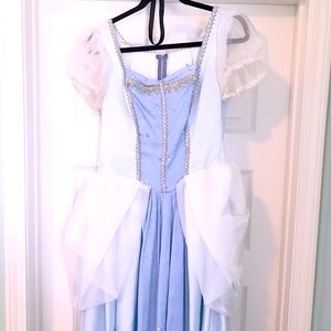 Custom Made Cinderella Costume